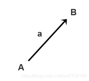 向量